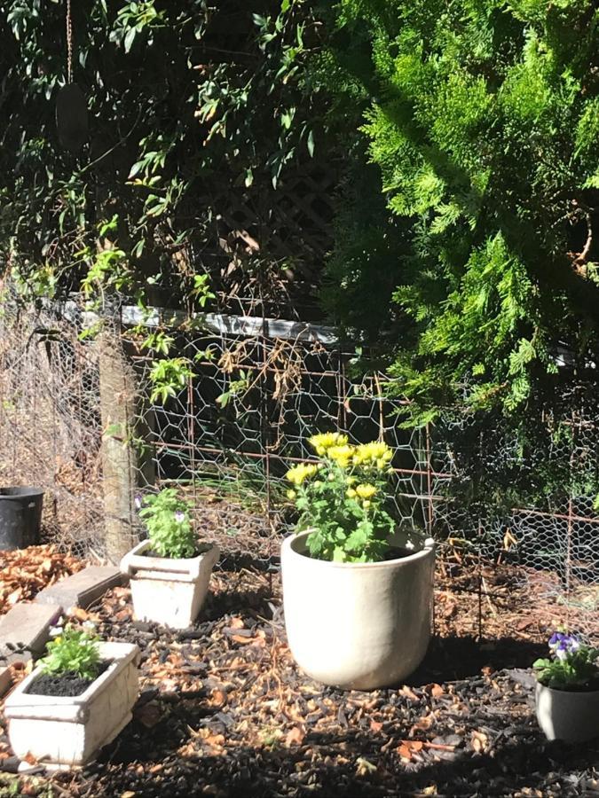 Homestay Birdsong Gardens